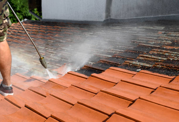 Best Local Pressure Washing Services  in Live Oak, CA